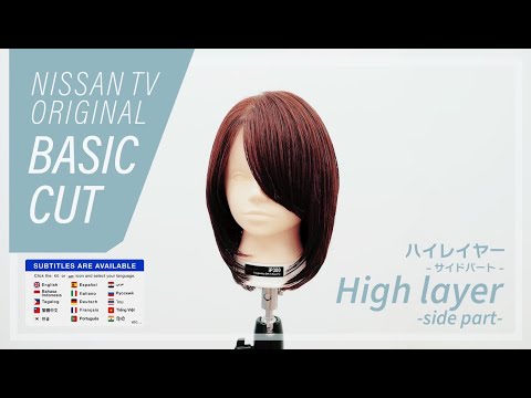 Side Part High Layer Basic Haircut Tutorial