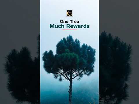 May Trees give you much rewards from Allah #shorts #youtubeshorts  #charity #allah #prophet