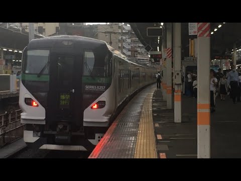 E257系が修学旅行幕で赤羽を通過！！