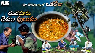 చిన్న చేపల పులుసు|Chinna Chepala Pulusu Andhra Style|Small fish hunting and cooking | village style