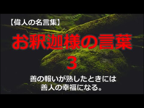 お釈迦さまの言葉3　【朗読音声付き偉人の名言集】