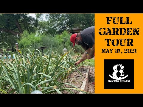 Full Garden Tour May 31, 2021 | Central Texas Garden