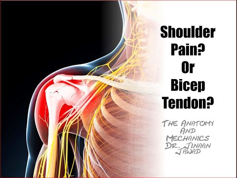 Shoulder Pain or Bicep Tendon Pain? The Mechanics -- Part 1