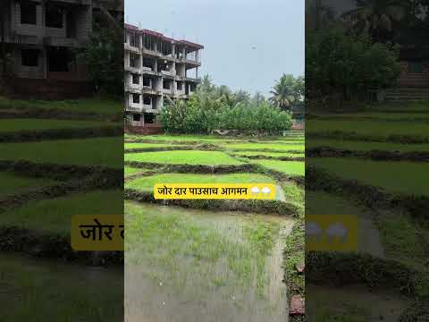 जोर दार पाउसाच आगमन 🌧️⛈️ #kokan #malvan #viral #kankavli #home #moonsoon