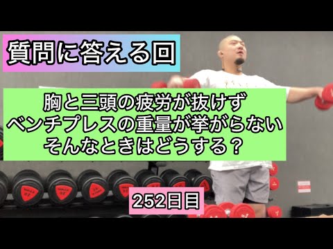 【質問に答える回】胸と三頭筋の疲労が抜けずベンチプレスの重量が挙がらないときはどうする？『エブリベンチ252日目』