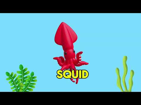 Animal names for kids education