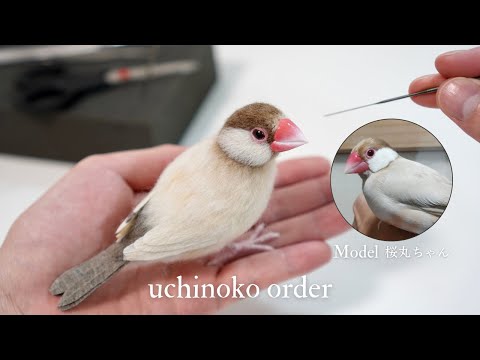 羊毛フェルトで文鳥を作る過程/ The process of making a Java sparrow with wool felt.