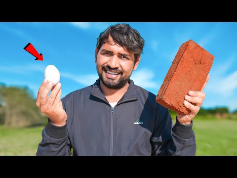 क्या एक अंडा ईंट को तोड़ सकता है ?...Egg Vs Brick 🥚