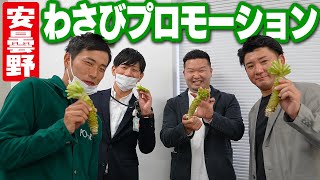 【安曇野わさび】プロモーション動画のお披露目会場に行ってみた【Azumino Wasabi】