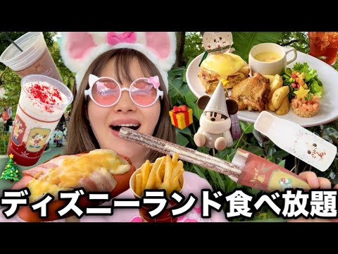 ひとりディズニーランドでクリスマス飯を食べ尽くす！！！