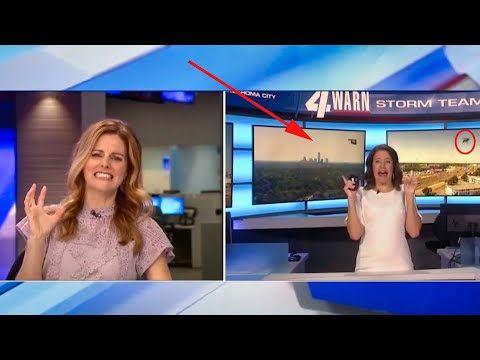 Funny News Bloopers You Haven't Seen