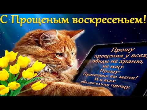 Прощеное Воскресенье! Бог Простит! Красивая Музыкальная Открытка!