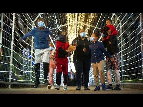 Johannesburg Zoo transforms into Festival of Light ahead of Christmas