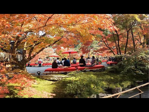 秋の京都・奈良・滋賀観光 part4（銀閣寺～永観堂～南禅寺～嵐山～清水寺）