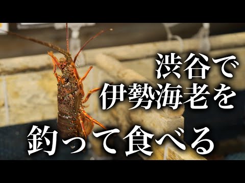 【技】渋谷で伊勢海老を釣って食べる［新鮮なうちに捌く店］ざうお渋谷店