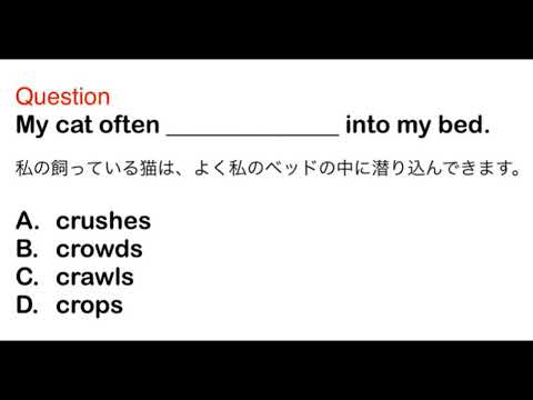 2405. 接客、おもてなし、ビジネス、日常英語、和訳、日本語、文法問題、TOEIC Part 5