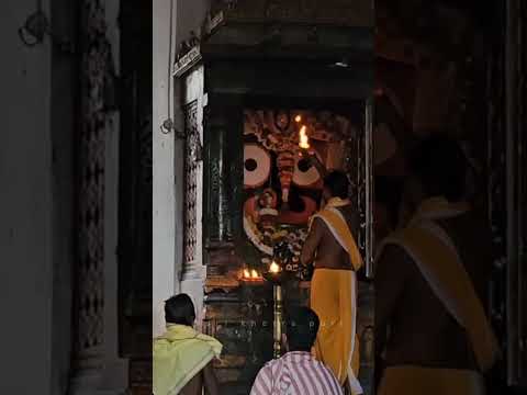 Mangal aarti darshan of Shree Jagannath 🙏🏻🥺| Jagannath dham puri | #shorts #shortvideo #youtube