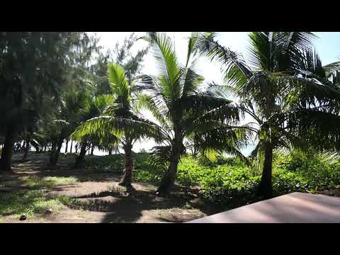 Drinking Beer at Chalan Kanoa Beach Saipan