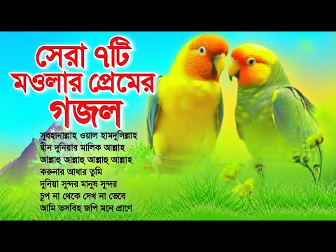 ম‌ওলার প্রেমের ৭টি অতুলনীয় মন প্রাণ উজাড় করা গজল//Most Beautiful Top 7 Islamic Gojol//Bangla Gojol