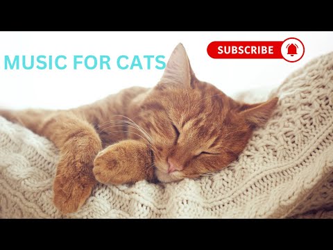 MUSIC & TV for CATS 🐱Birds, Squirrels & MORE! Tons of Stimulation - Music for #cat  #youtube