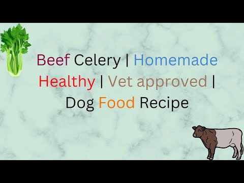 Beef Celery  Homemade Healthy  Vet approved  Dog Food Recipe