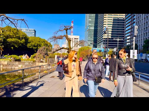 [4K] 東京皇居外苑と皇居内苑の散策。 Walking Tour in the Imperial Palace Outside/Inside. Tokyo, Japan. November 2024