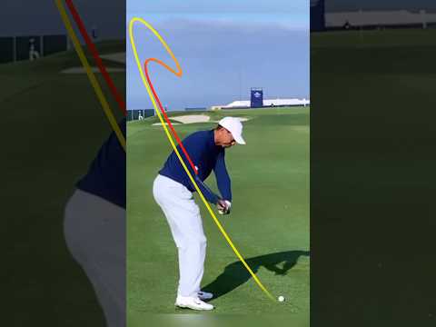 Tiger Woods golf swing on Shot Tracer PRO