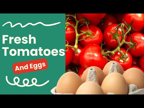 If you have....Fresh tomatoes and Eggs 🥚🍅