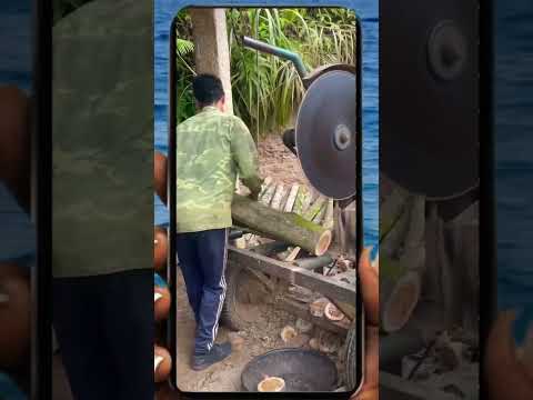 Young couple's wood cutting day Part 2  #automobile #woodworkings #fyp #shorts