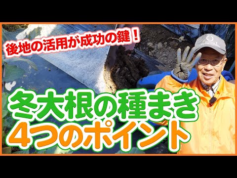 家庭菜園や農園の冬大根栽培で発芽率をアップさせる種まきのコツ！栽培後地の活用が成功の鍵！4つのポイントを徹底解説！【農園ライフ】