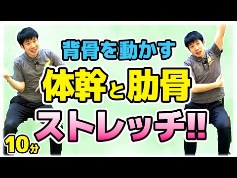 背骨を動かす！体幹ストレッチ【YAMAの椅子に座ってできる簡単椅子体操】