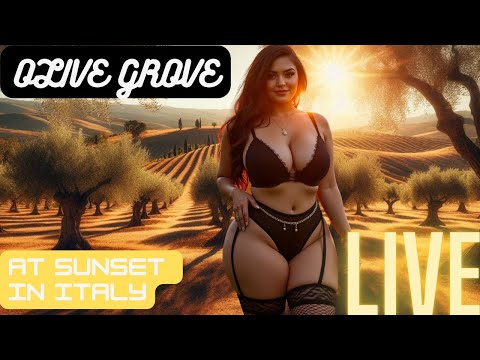 Olive Grove at Sunset in Italy Lookbook Music Video