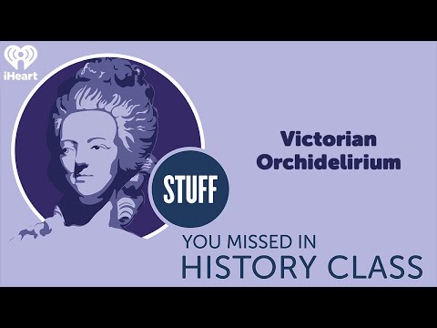 Victorian Orchidelirium | STUFF YOU MISSED IN HISTORY CLASS