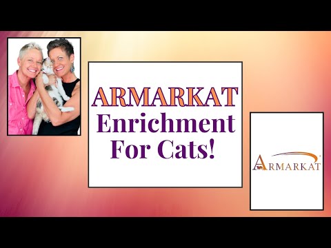 Armarkat Live Giveaway! | Two Crazy Cat Ladies