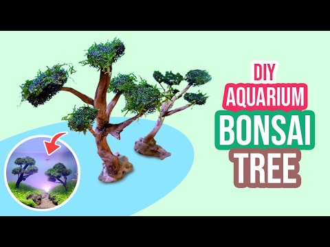 🌳 Step-by-Step Guide: Making a Bonsai Tree for Your Aquarium ☘️🐠