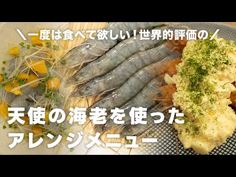 一度は食べて欲しい！世界の一流シェフたちが認めた「天使の海老」をご紹介！