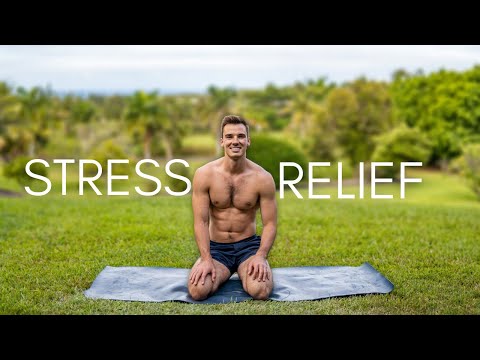 15 Min Relaxing Stress Relief Movement Routine  ||  Full Body Stretch