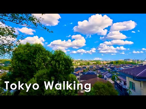 Walk around Seiseki-Sakuragaoka, the sacred place of the Ghibli anime Whisper of the Heart 4K