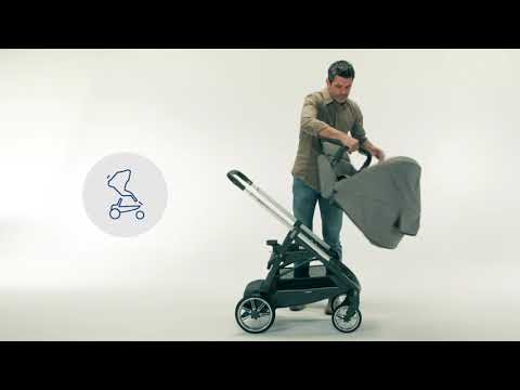 Inglesina Aptica Stroller