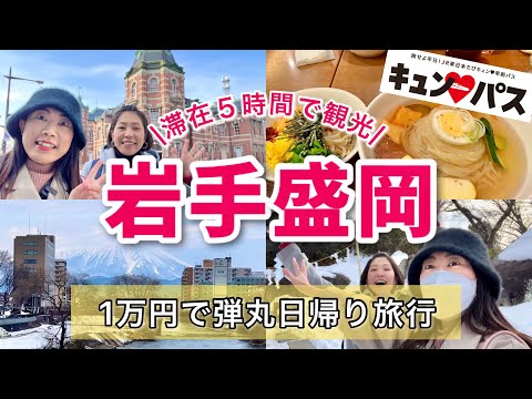 【史上最悪な女子旅】不運は続く😢キュンパス1万円で岩手盛岡日帰り旅行・観光【新幹線1日1万円で乗り放題たびキュン早割りパス】