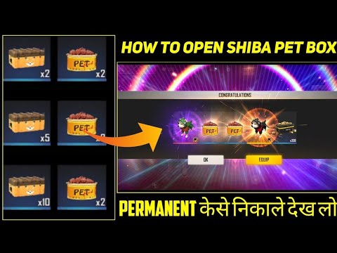 I GOT SHIBA PET 🐶🥺🥲= SPECIAL TRICK = #CHIRAANDGAMING #FREEFIRE #FREEFIREINDIA