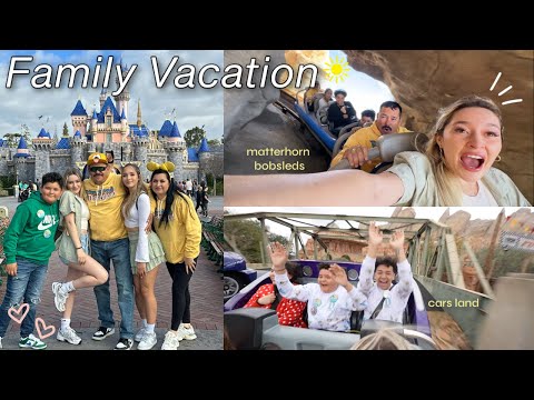 Going to DISNEYLAND with my entire family (party of 8) | ride footage+arguing