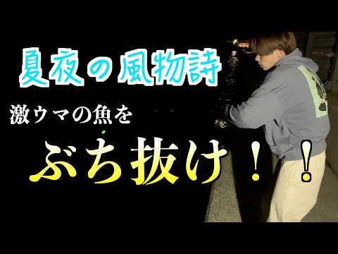 夜の堤防で激うまの魚を釣る