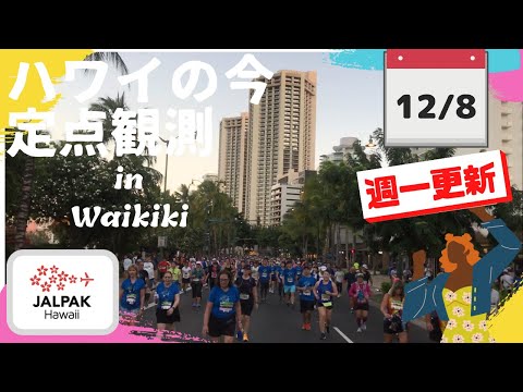 【ハワイの今】ワイキキ定点観測  2024年12月8日