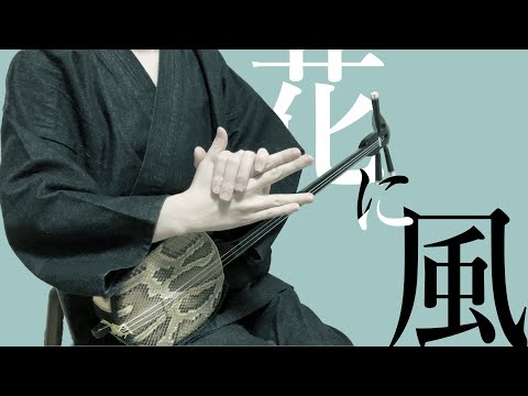 【和楽器】花に風を三線で弾いてみた / Wind Over The Flower Sanshin Cover