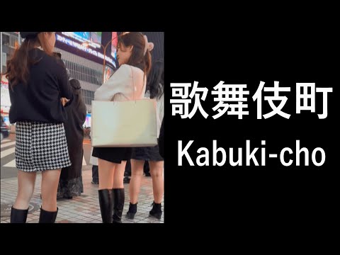 【Night walking】日本一の繁華街、新宿歌舞伎町を夜に散歩 Walking in KABUKI-CHO, SHINJUKU of Tokyo, busiest downtown area