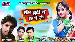 Tor Chundi Ma Bade Bade Junha | Deva Diwana Cg Song | Chhattisgarhi Lok Geet | Dvrgana