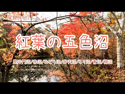 【紅葉の五色沼】2023年秋。紅葉の福島・五色沼を訪れました。毘沙門沼・赤沼・みどろ沼・弁天沼・るり沼・青沼・柳沼と巡っています【お出かけvlog】