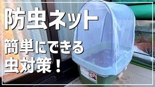 【簡単】誰でもできる虫対策！ / 虫が苦手でも家庭菜園を楽しむ方法 / 防虫ネットの使い方