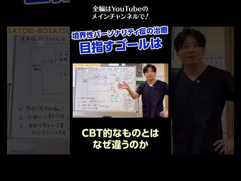 [6]境界性パーソナリティ症の治療〜目指すゴールは／CBT的なものとはなぜ違うのか